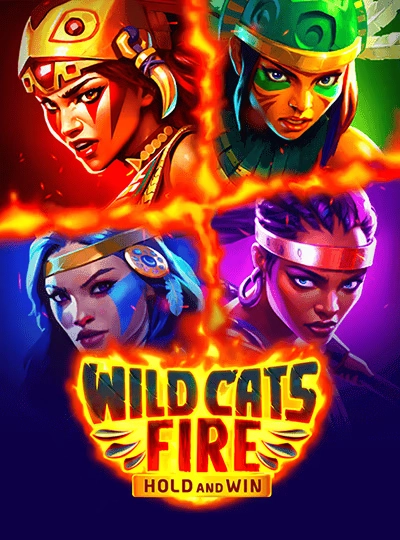 xx555 IPL accumulator game cover